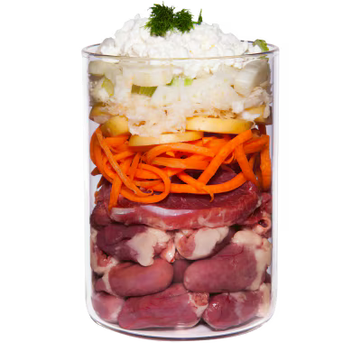 Terra Canis Menü Schonkost Huhn mit Karotte, Kartoffel, Hüttenkäse & Kamille