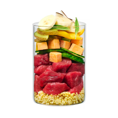 Terra Canis Menü Flower Menü Hakuna Pawtata / Antilope mit Banane, Süßkartoffel & Mango