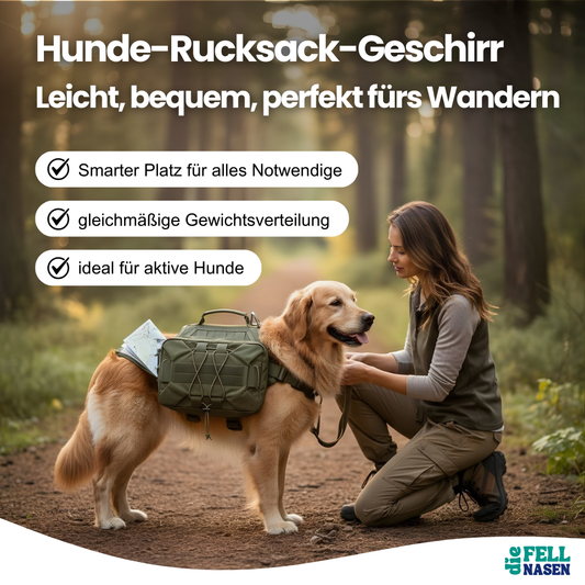 Hunde-Rucksack-Geschirr – Mehr Freiheit & Stauraum bei jedem Abenteuer