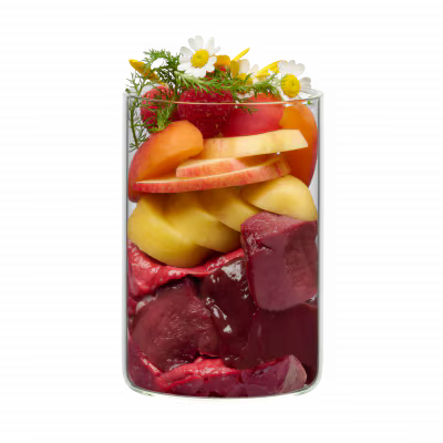 Terra Canis Menü Flower Menü Alpenblüte / Rind mit Erdäpfeln, Marille und Bergkräutern