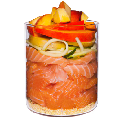 Terra Canis Menü Menü Classoc Lachs mit Hirse, Pfirsich & Kräutern