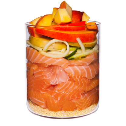Terra Canis Menü Classic Lachs mit Hirse, Pfirsich & Kräutern