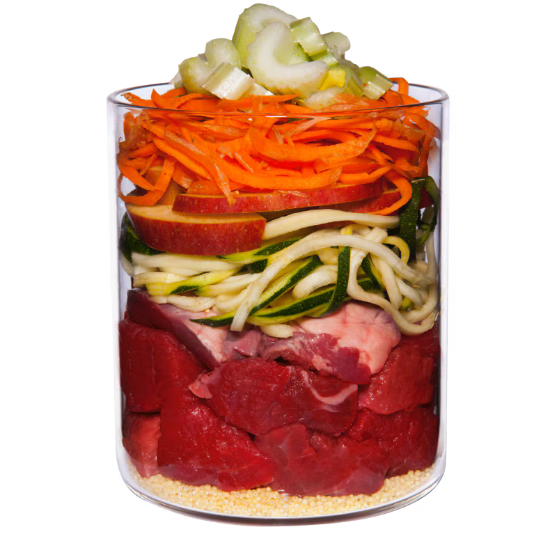 Terra Canis Menü Classic Lamm mit Zucchini, Hirse & Dill