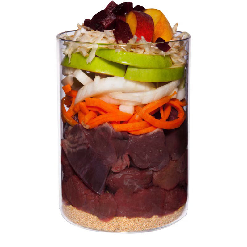 Terra Canis Menü Classic Pferd mit Amaranth, Pfirsich & Roter Beete