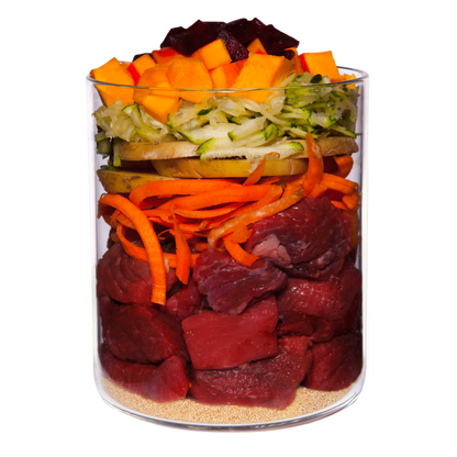 Terra Canis Menü Classic Wild mit Kürbis, Amaranth & Preiselbeeren