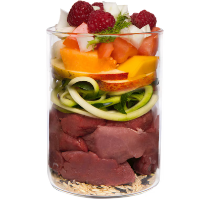 Terra Canis Menü Classic Wildschwein mit Naturreis, Fenchel & Himbeeren